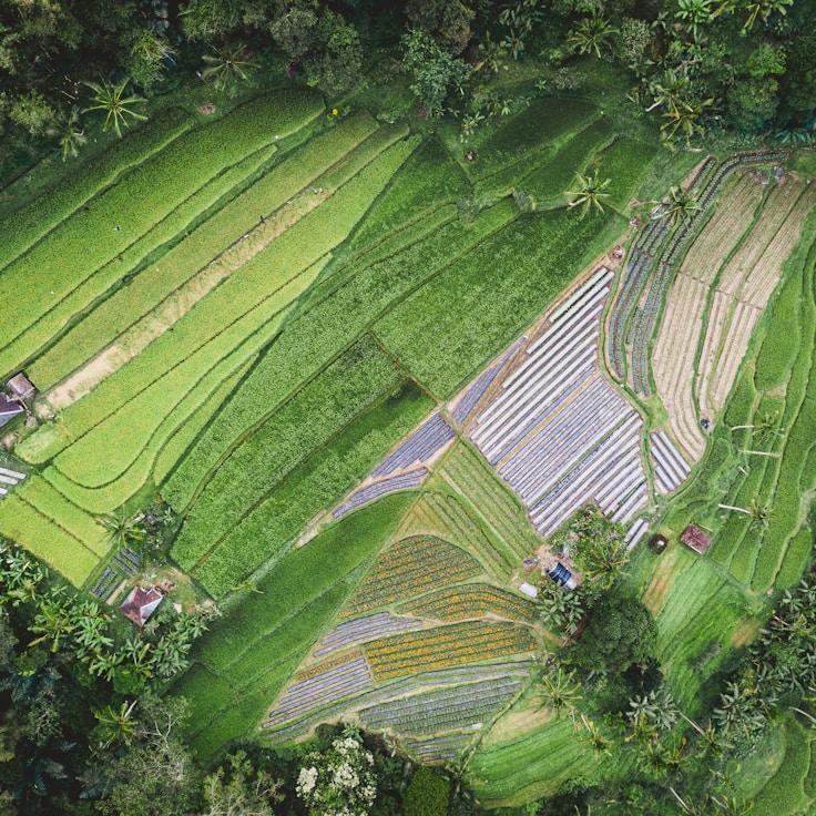 Entertainment zone at night in Italy
